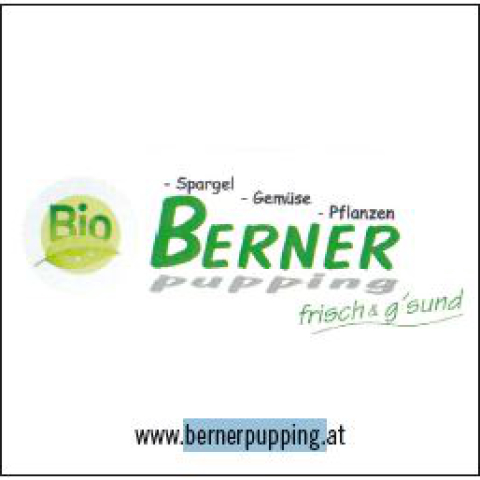 BernerGG19