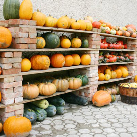 GG19