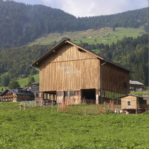 Bio Ziegenhof Berlinger GG2018