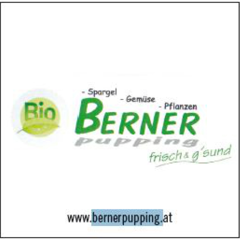 BernerGG19